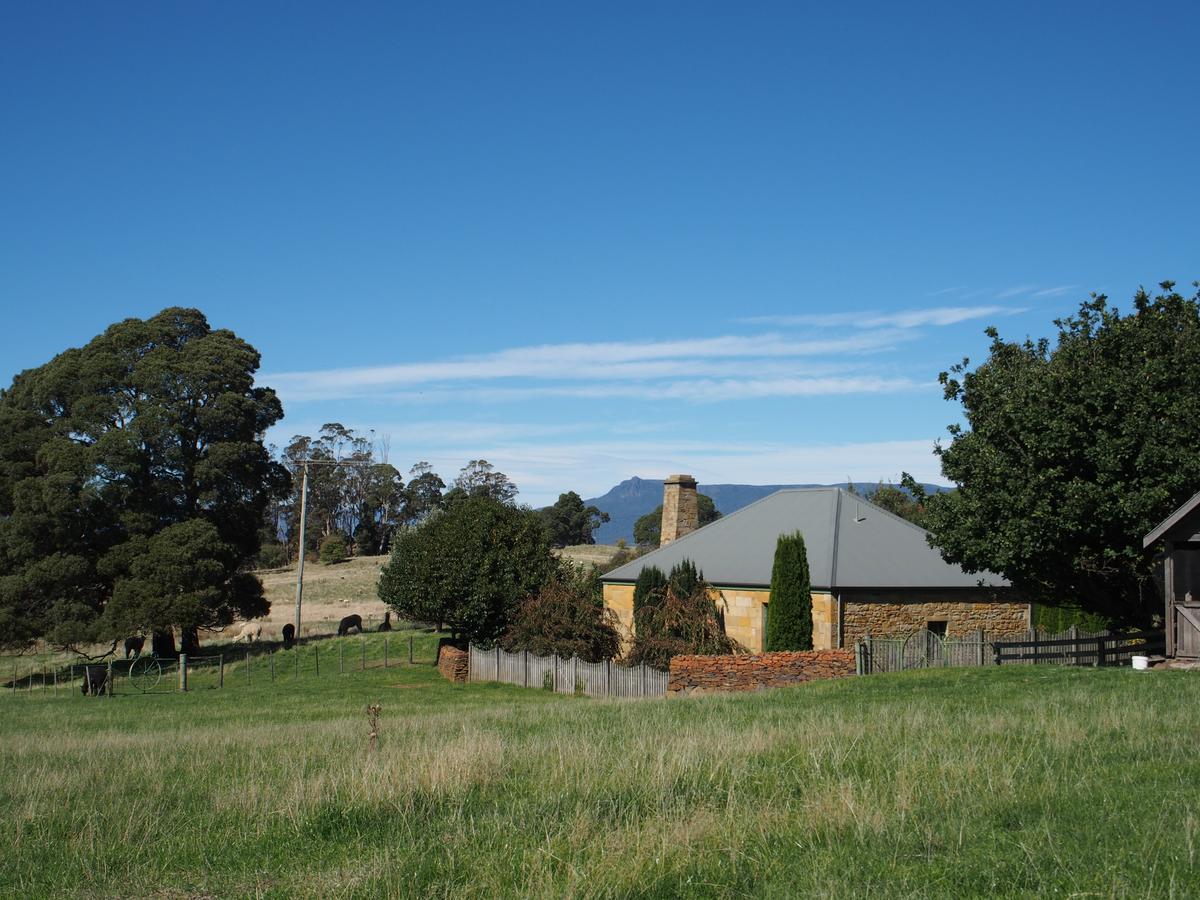 Blackwood Park Cottages Mole Creek Exterior photo
